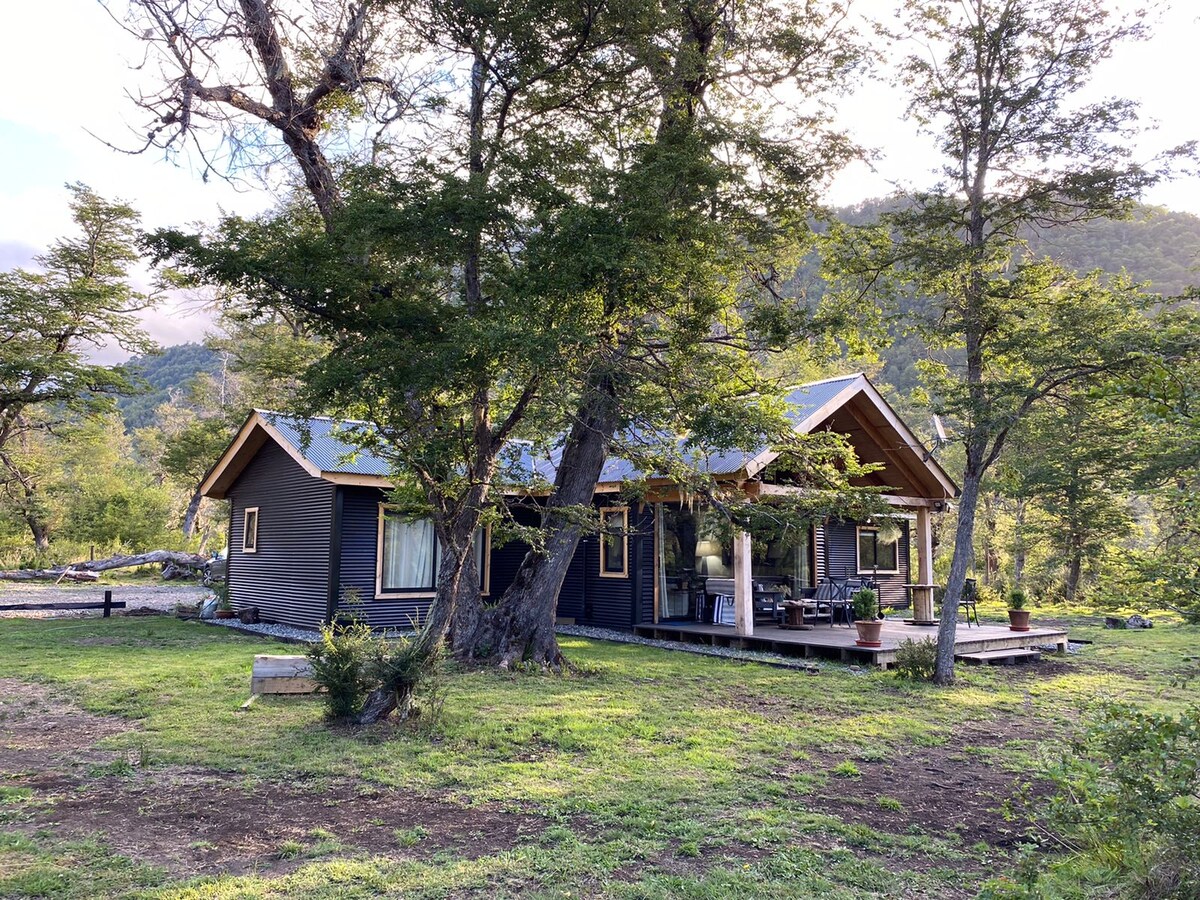 A new house is nestled among trees, surrounded by open green space. The structure features a large deck with outdoor seating, inviting the surrounding nature inside through expansive windows.