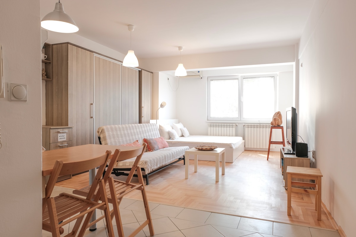 A bright living area features a foldable sofa bed, paired with a wooden coffee table and a dining set with two chairs. Two large windows provide natural light, while a television is positioned on a low stand. Light-colored wooden flooring adds to the spacious feel.