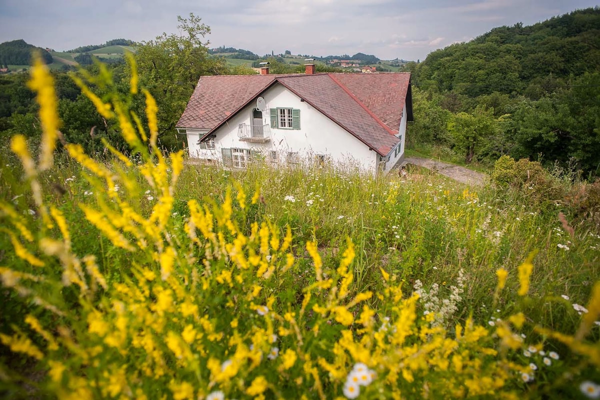 The vacation home is nestled among vibrant wildflowers, showcasing a blend of yellow blooms and greenery. A white exterior with green window shutters and a red roof complements the natural surroundings. Rolling hills and a forested backdrop provide a serene atmosphere.