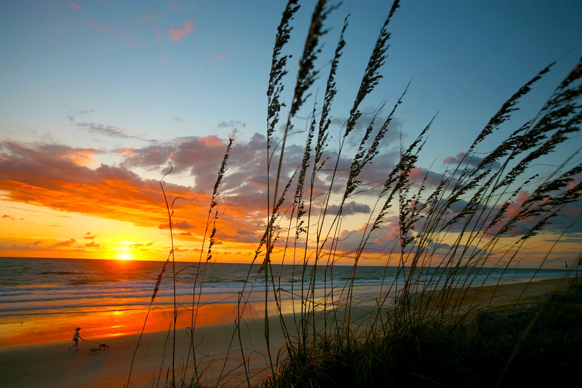 Beachfront Luxury