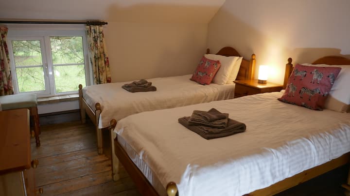 Chambre 3 avec 2 lits simple