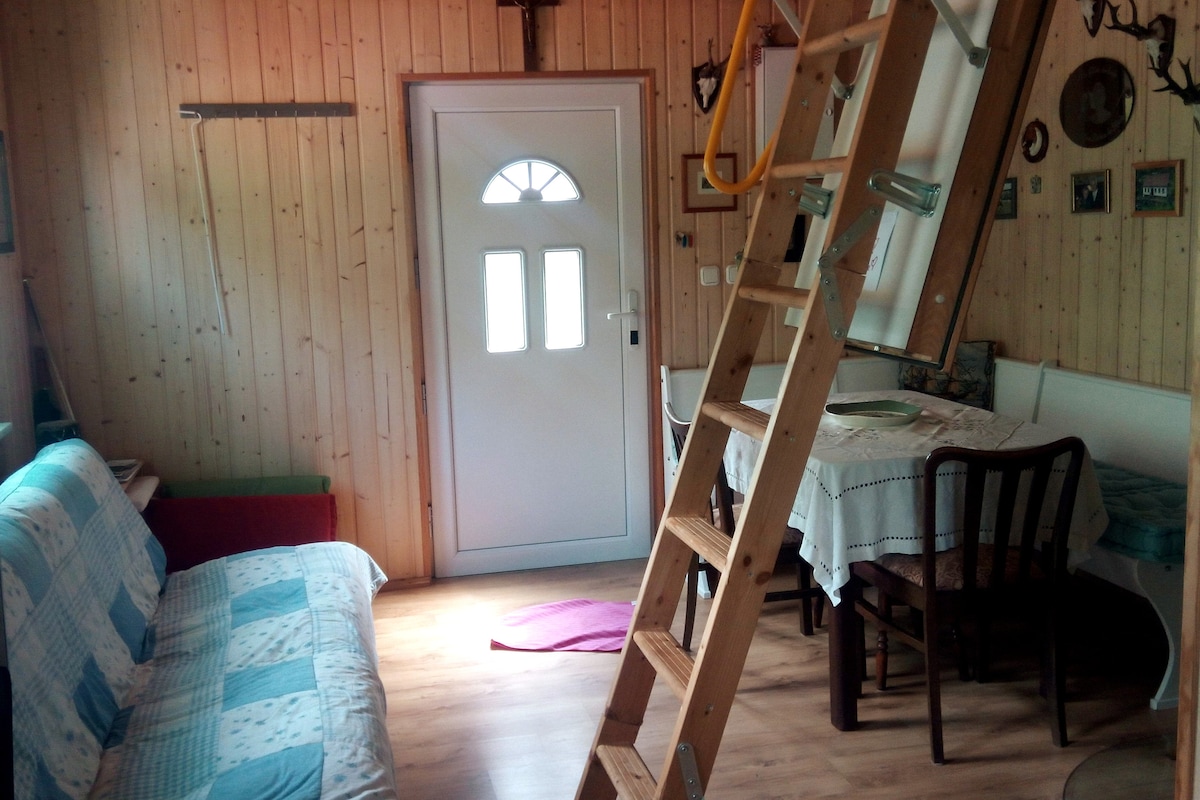 Popular Airbnb listing: To the Hirschbaude with a wildly romantic garden in Sebnitz