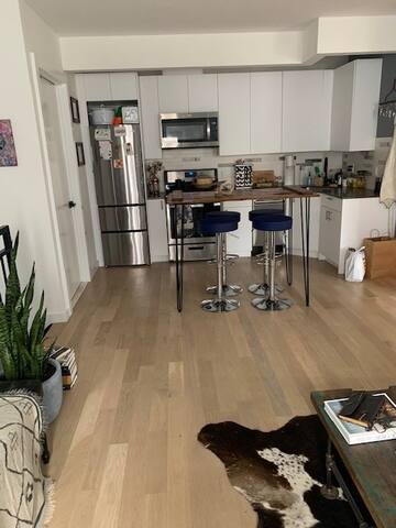 Lovely 3 bed condo in Bushwick/Ridgewood area gallery image 4