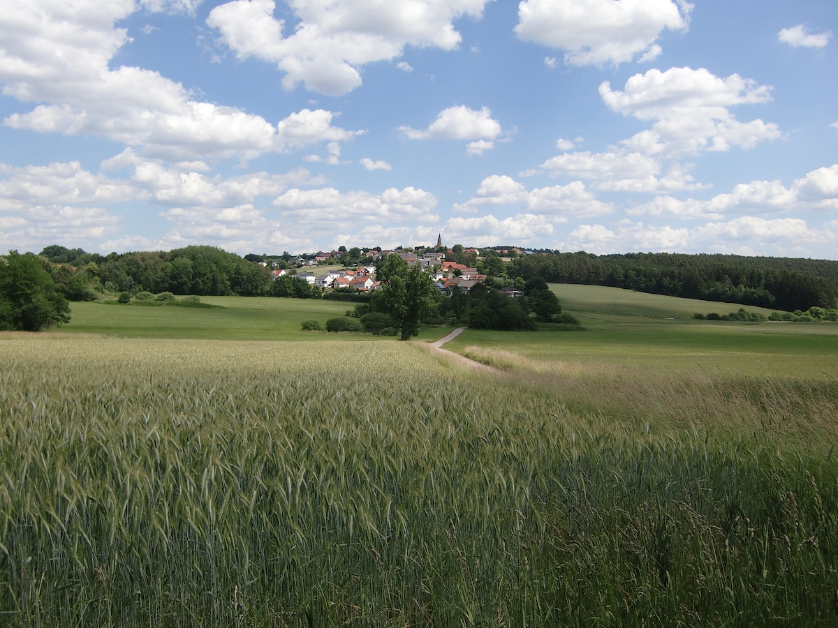 A panoramic view of a serene landscape features vast green fields in the foreground and a small village nestled among trees in the background. Puffy white clouds drift across a blue sky, creating a tranquil atmosphere.