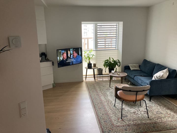 Quiet and central apartment in the new Carlsberg city Condominiums