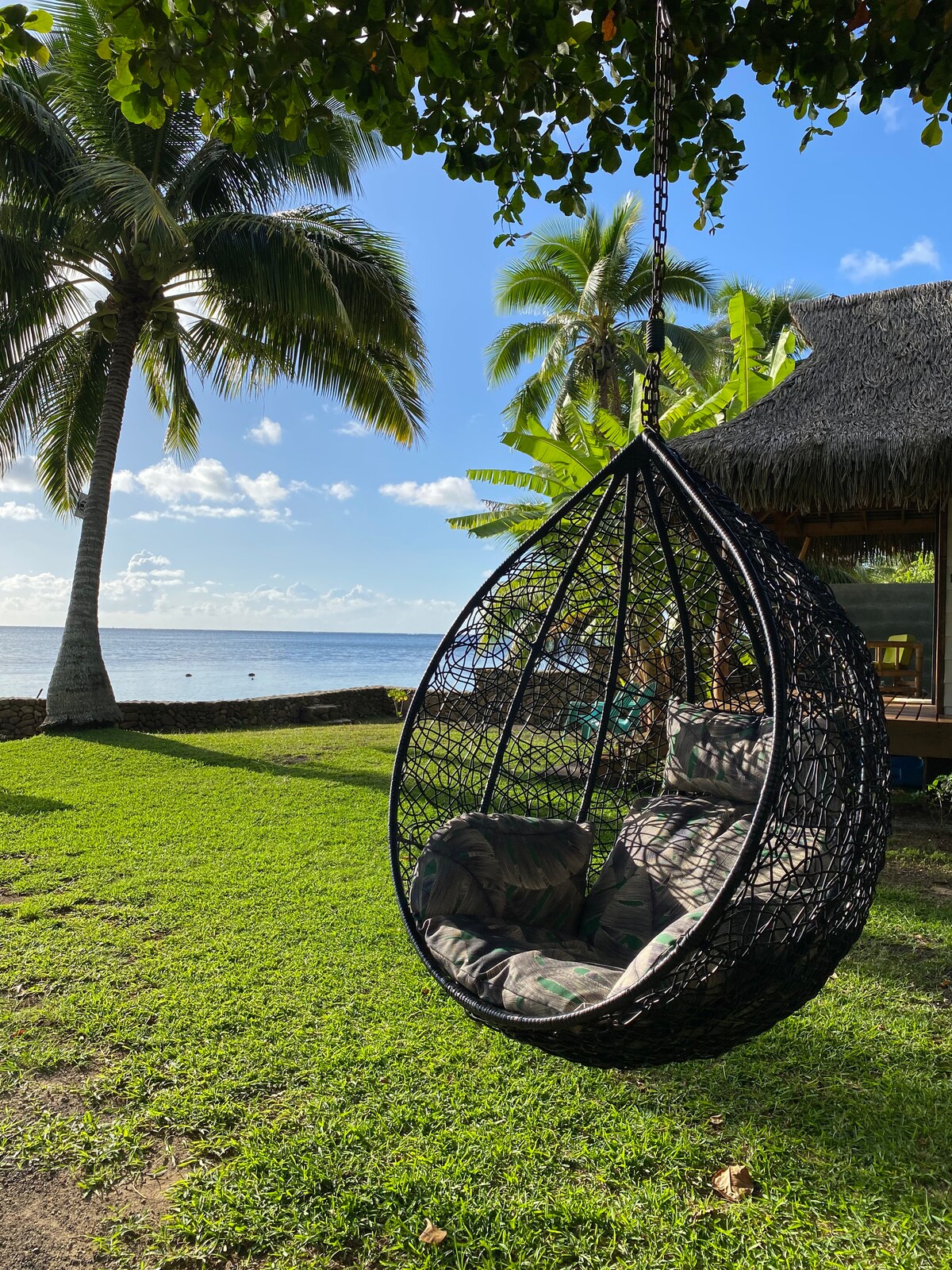 A curved hanging chair in a black woven design is suspended from a tree branch. Lush green grass surrounds the chair, which faces a tranquil lagoon with palm trees framing the view. A thatched-roof structure is partially visible in the background.