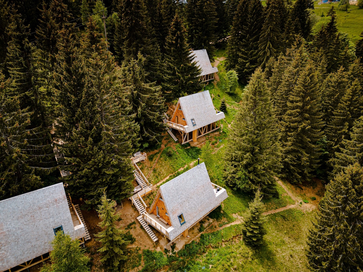 Aerial view of four wooden cabins nestled among tall evergreen trees. Each cabin features a sloped roof and is connected by natural pathways, highlighting their integration into the forest landscape. The lush greenery surrounds the cabins, creating a serene environment.