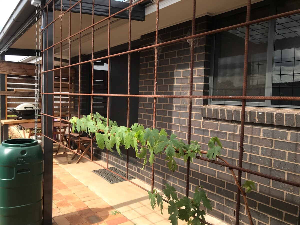 A serene outdoor area features a metal trellis supporting green grapevines against a brick wall. Nearby, a small table and chairs are positioned, providing a cozy spot for relaxation. The space is complemented by a rainwater tank and a covered section for protection from sunlight.