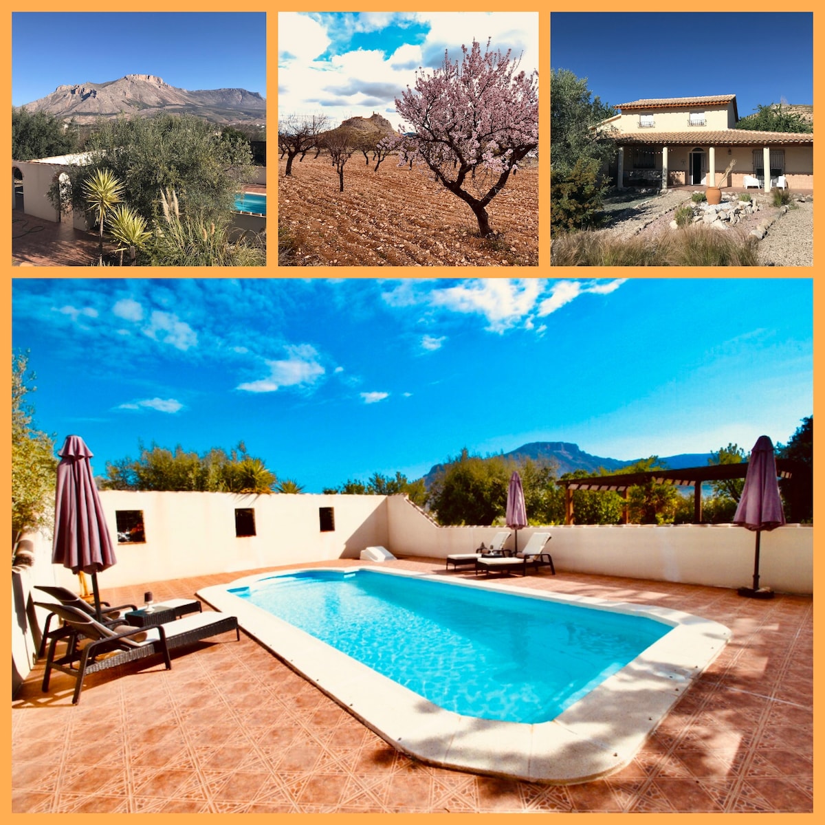 A private pool is framed by lounge chairs and umbrellas, offering a serene space for relaxation. The surrounding area features lush greenery and views of distant mountains under a clear blue sky, creating a tranquil outdoor setting suited for families.