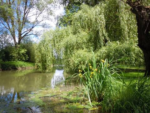 Le Chant de la Cisse, charm, nature and river