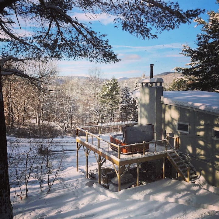 Unique 4 bedroom cabin and remote getaway! Cabins for Rent in W Townshend, Vermont, United