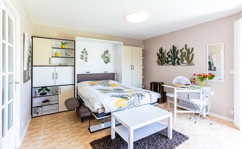 Nice private T2 4* Pool, (jacuzzi option €50/24h)