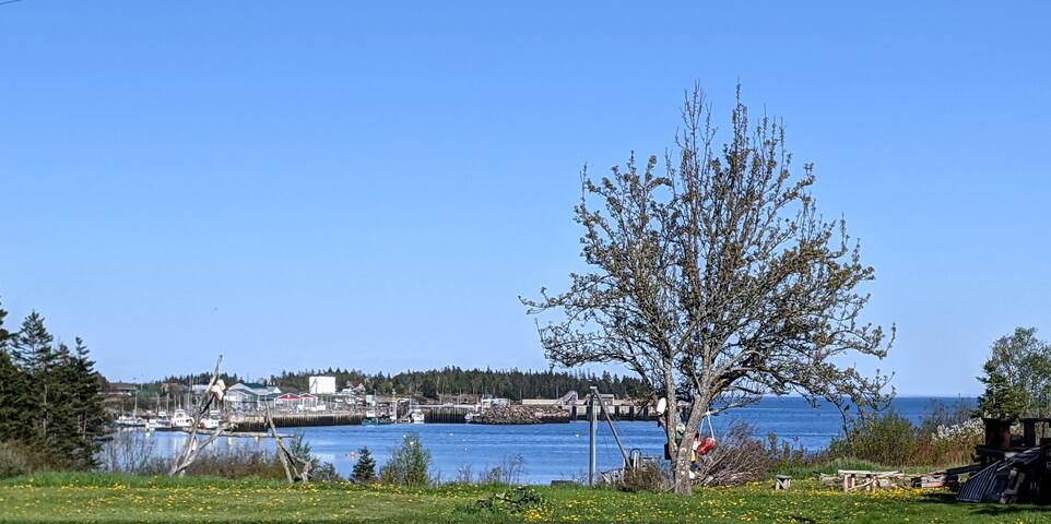 Stanley Beach House gallery image 4