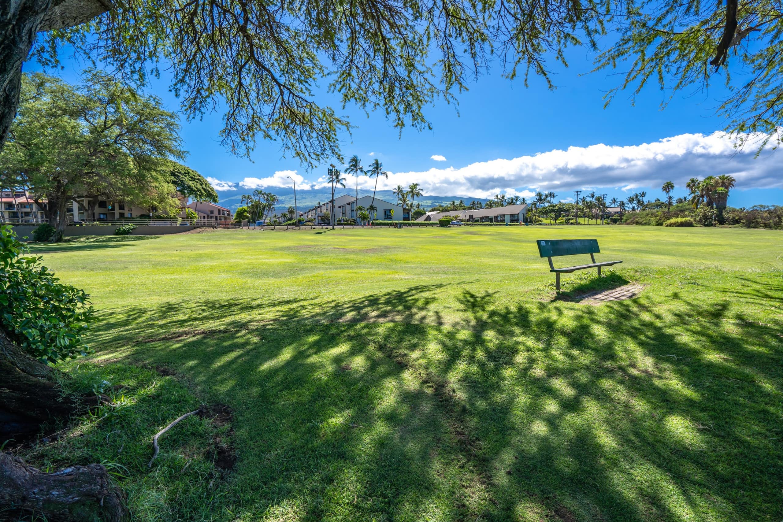 Condo in Kihei · ★4.8 · 1 bedroom · 2 beds · 1 private bath - Image 54