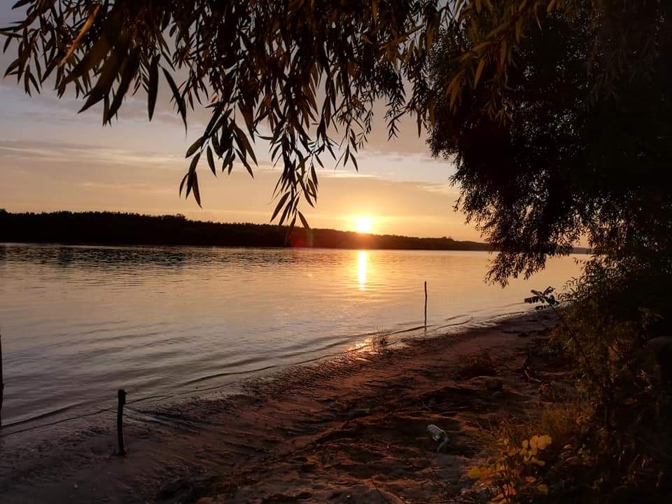 The tranquil riverbank is framed by willow branches, as the sun sets on the horizon. The calm water reflects warm hues of orange and gold, while the silhouettes of distant trees create a serene backdrop.