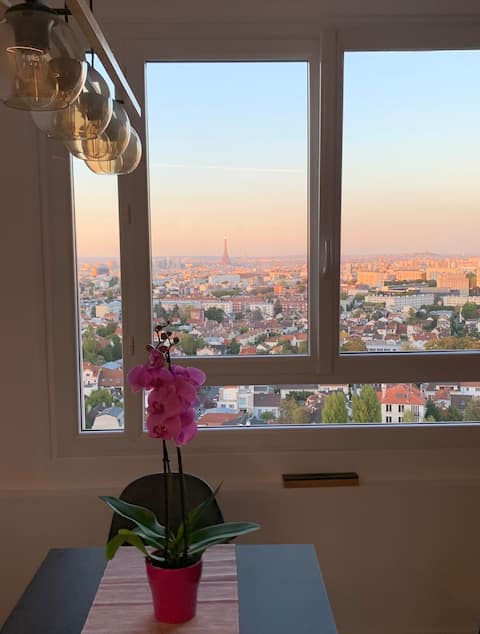 Panoramic view of PARIS and surrounding area