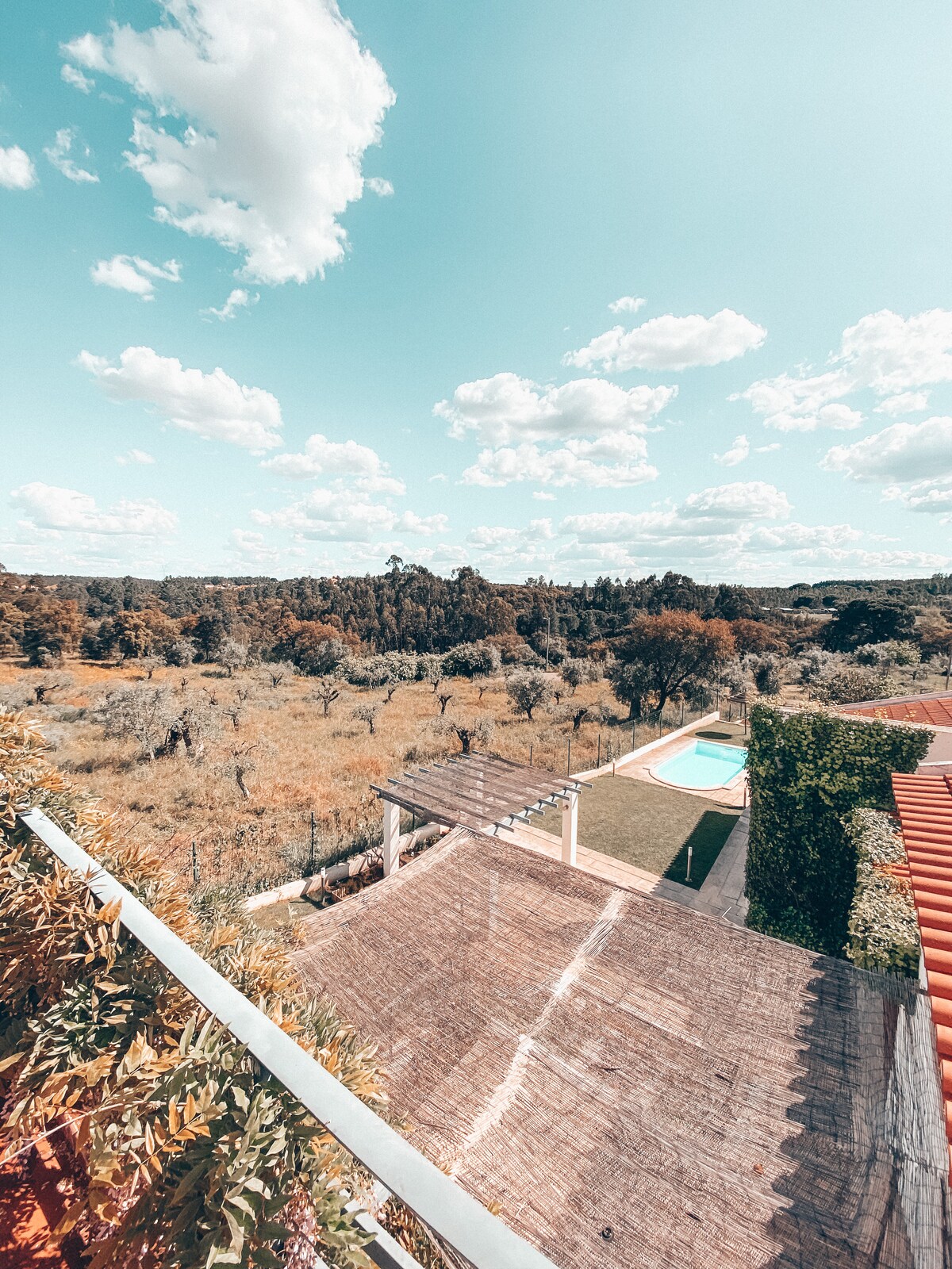 A panoramic view reveals a lush outdoor setting with a vibrant blue pool surrounded by green grass. The landscape features trees and open fields under a clear sky dotted with fluffy white clouds. The balcony area is adorned with natural materials, adding to the serene atmosphere.