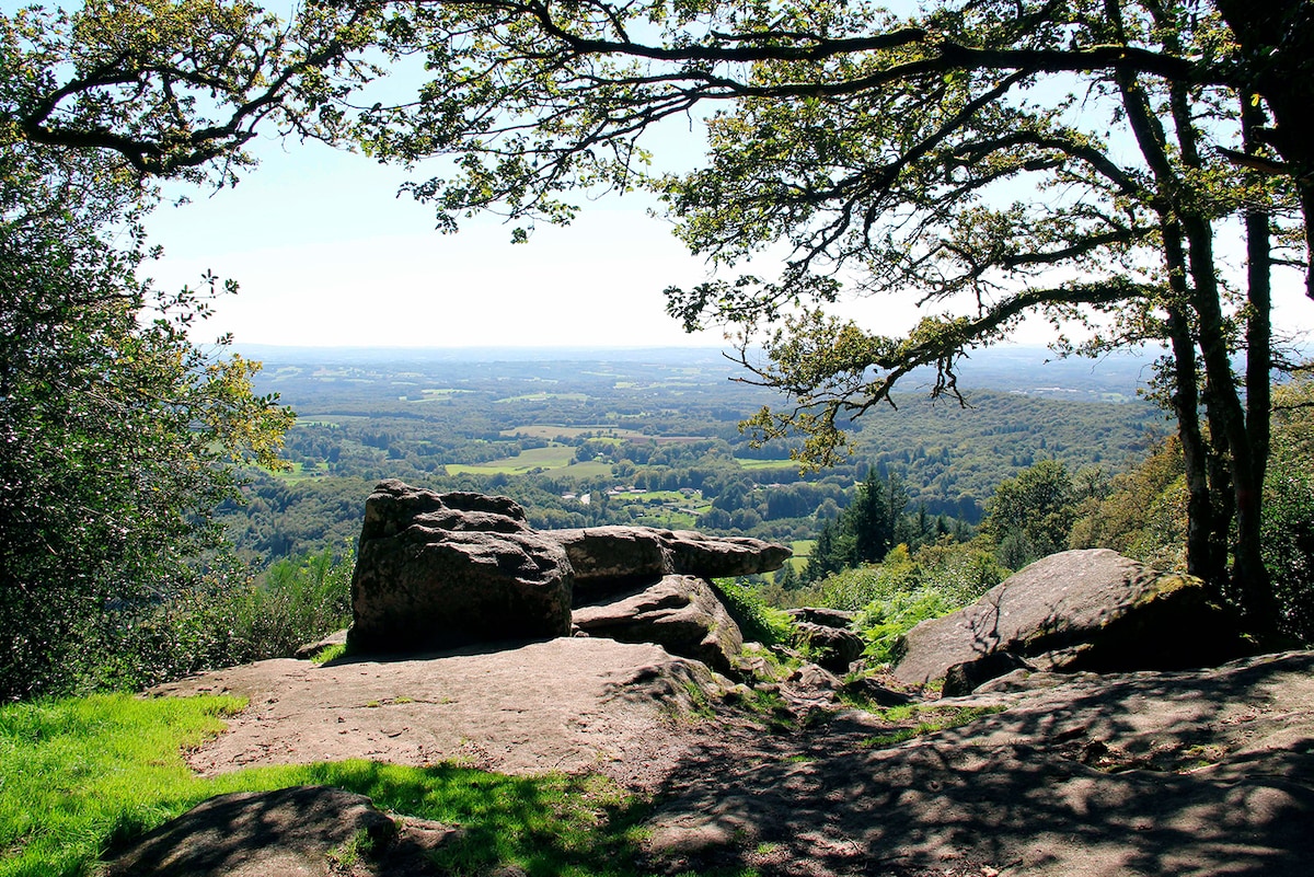 A scenic viewpoint showcases a distant landscape, framed by trees and boulders. Rolling hills and valleys are visible in the background, with a bright sky enhancing the natural beauty. The ground is a mix of grass and stone, providing a serene atmosphere for visitors.