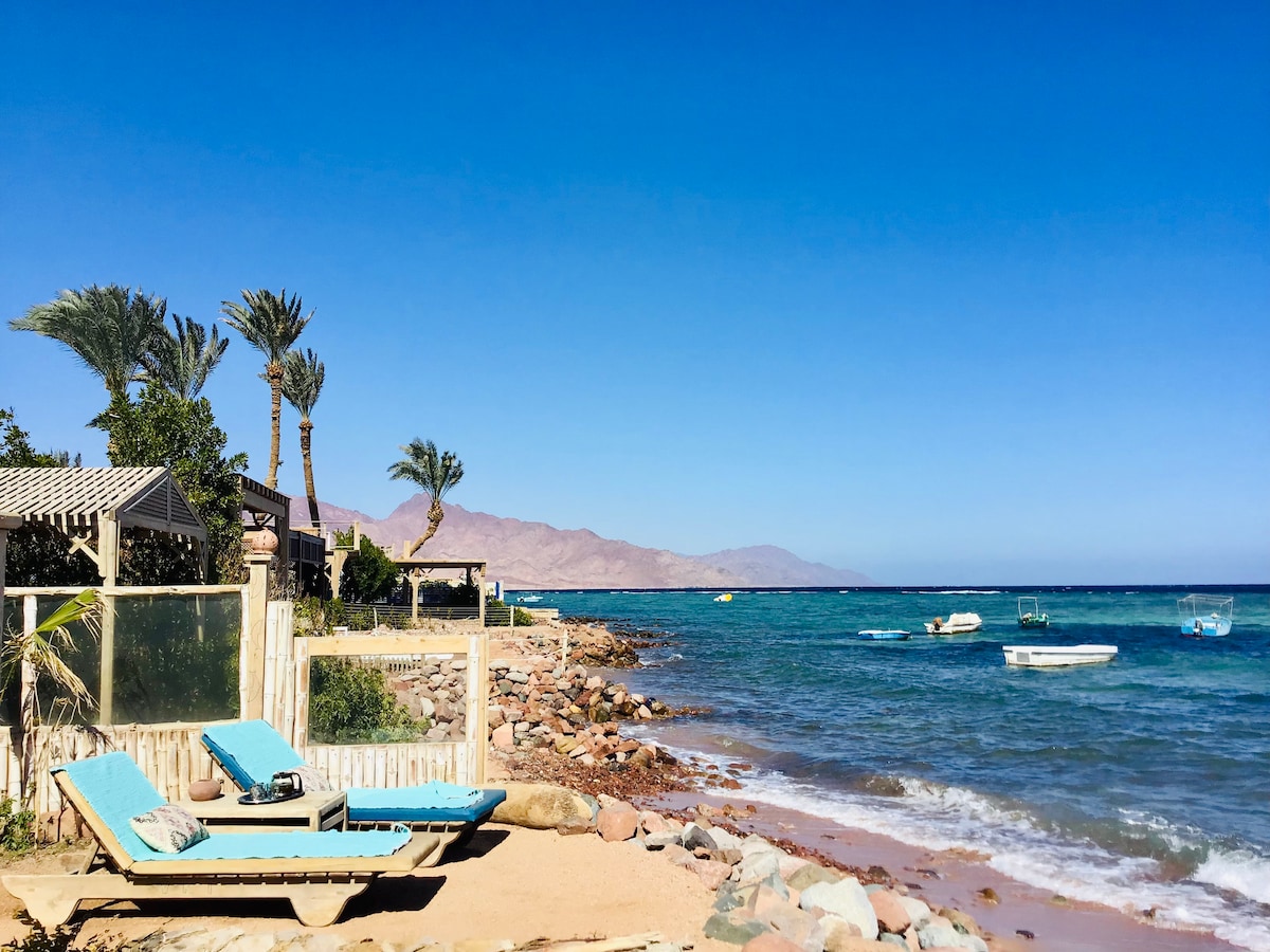 A sandy beach area is highlighted by two blue sunbeds facing the water. Palm trees provide shade nearby. The crystal-clear sea showcases gentle waves, while boats can be seen in the distance against a backdrop of rugged mountains under a clear blue sky.