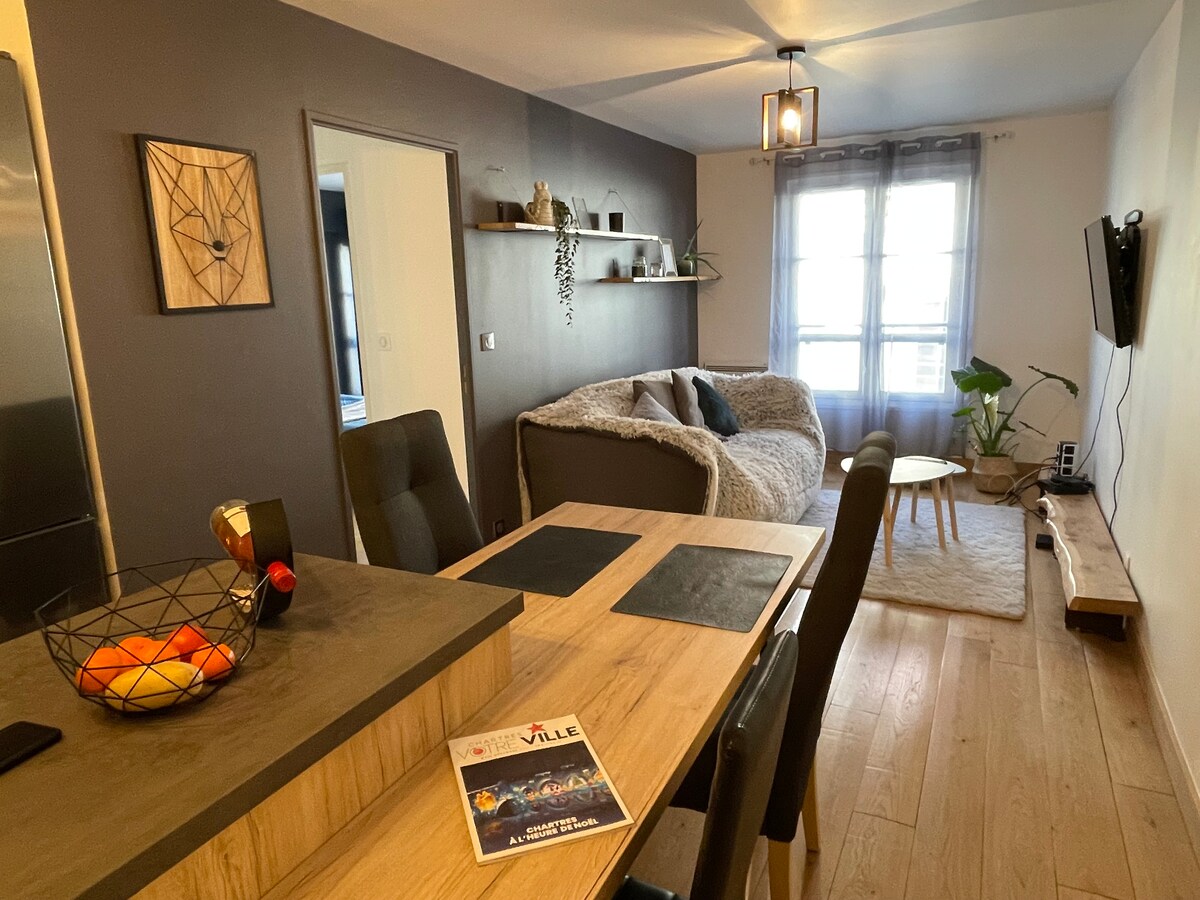 Modern T2 in the hypercentre of Chartres Apartments for Rent in