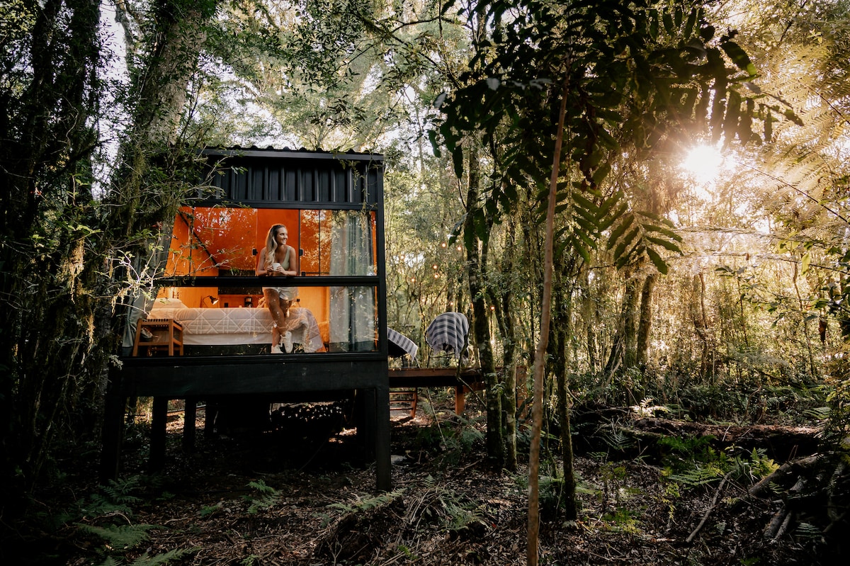 A wooden cabin stands elevated among lush trees, with large windows allowing natural light to stream inside. A queen bed and cozy seating area are visible, blending comfort with the surrounding nature. Sunlight filters through the foliage, creating a serene and tranquil environment.