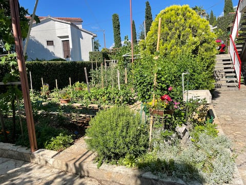 Apartment Fortuna in Malinska- 100m from the beach