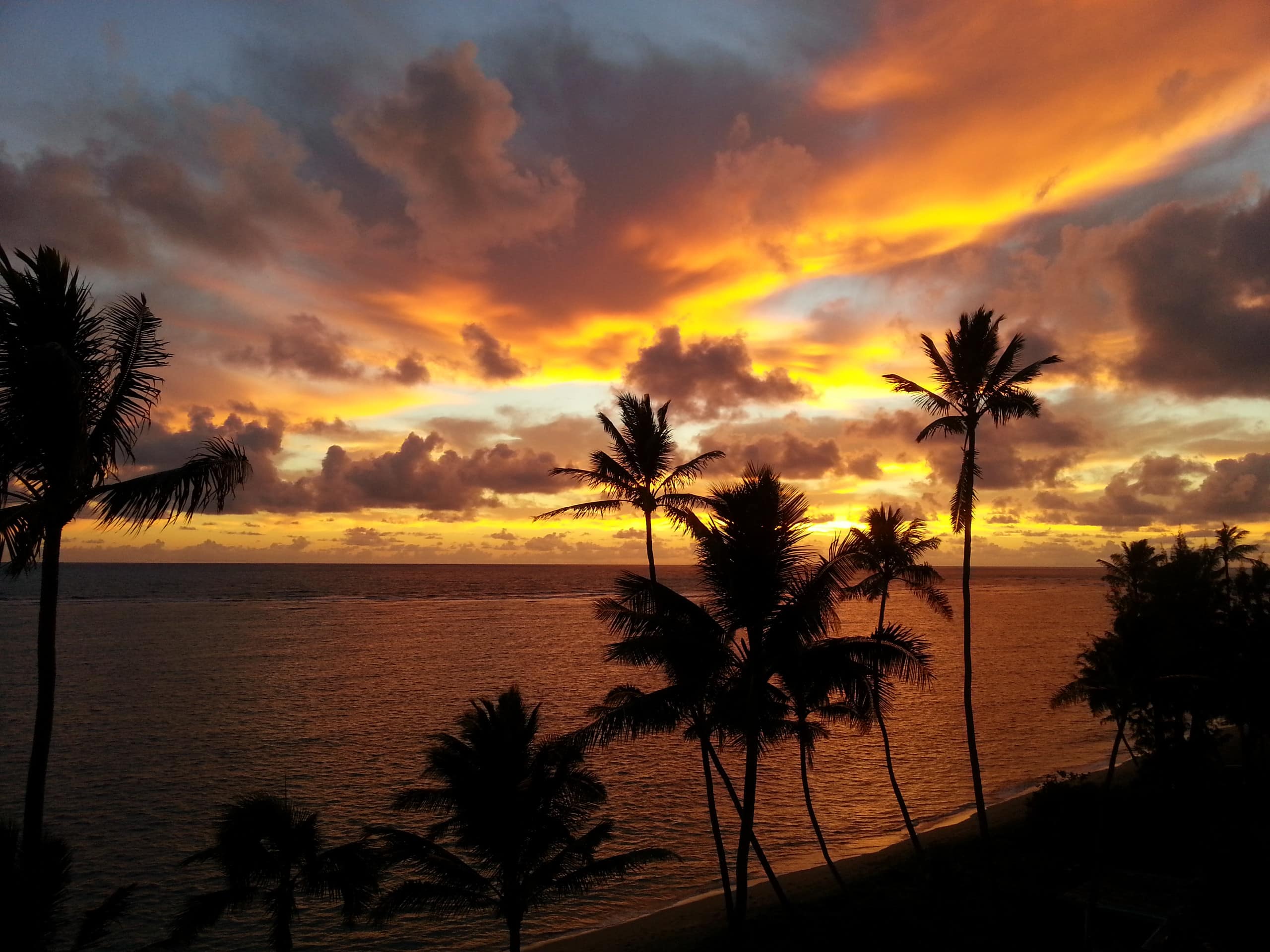Aloha Hidden Treasure - Image 11