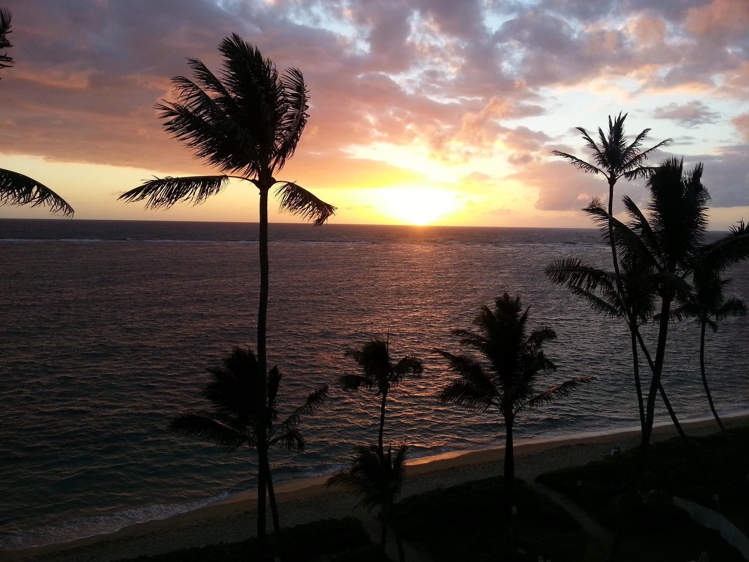 Aloha Hidden Treasure - Image 12