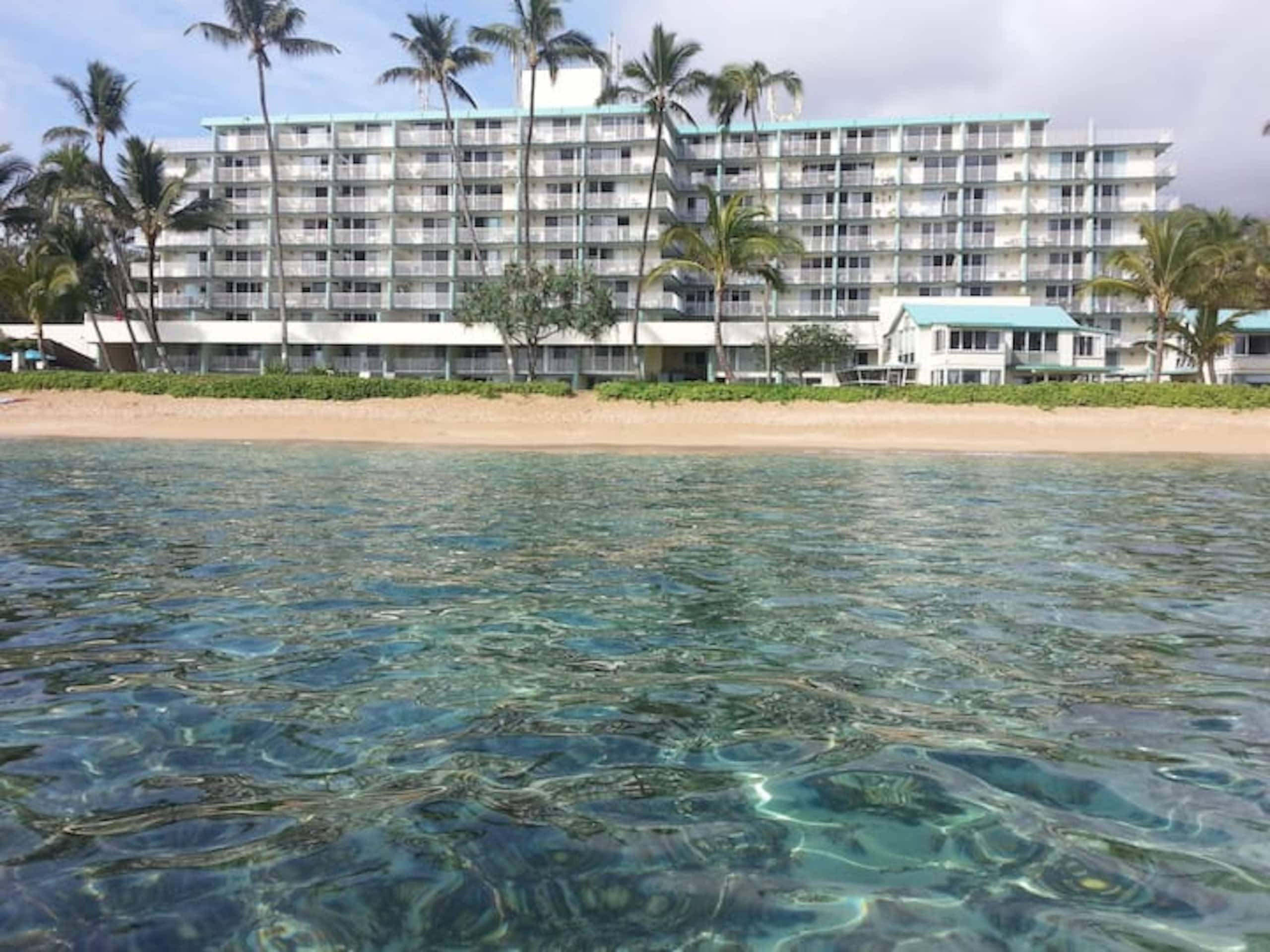 Aloha Hidden Treasure - Image 1