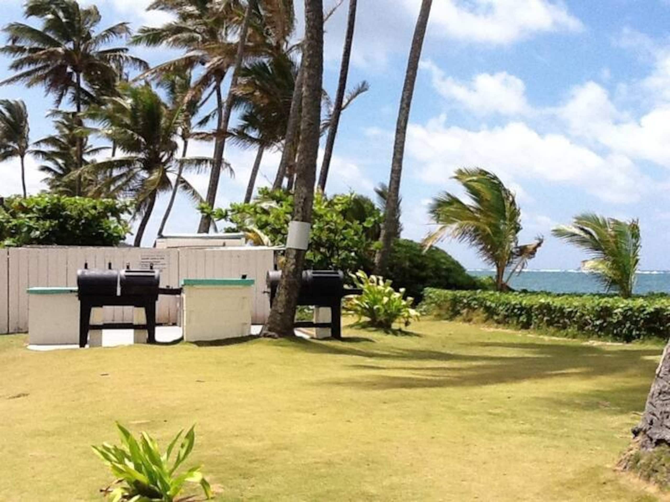Aloha Hidden Treasure - Image 23