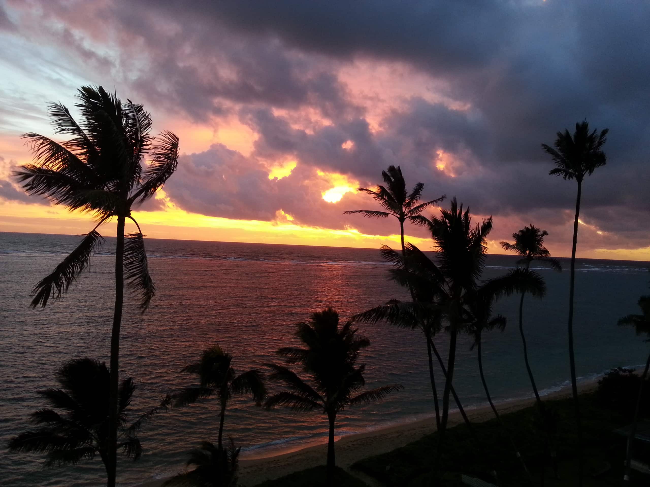 Aloha Hidden Treasure - Image 13