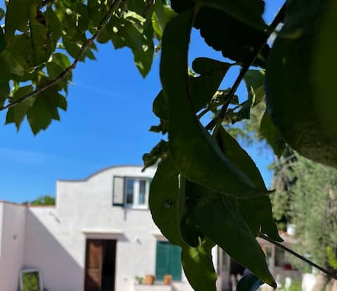 Villa Morea, Sophisticated Villa in Procida