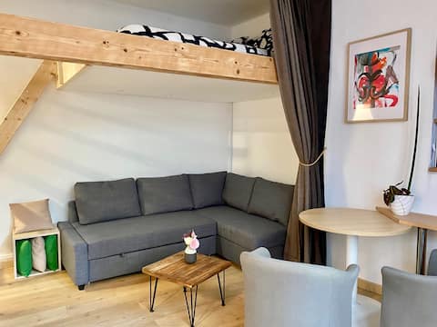 Successful Airbnb property: Lille center cozy apartment in Lille