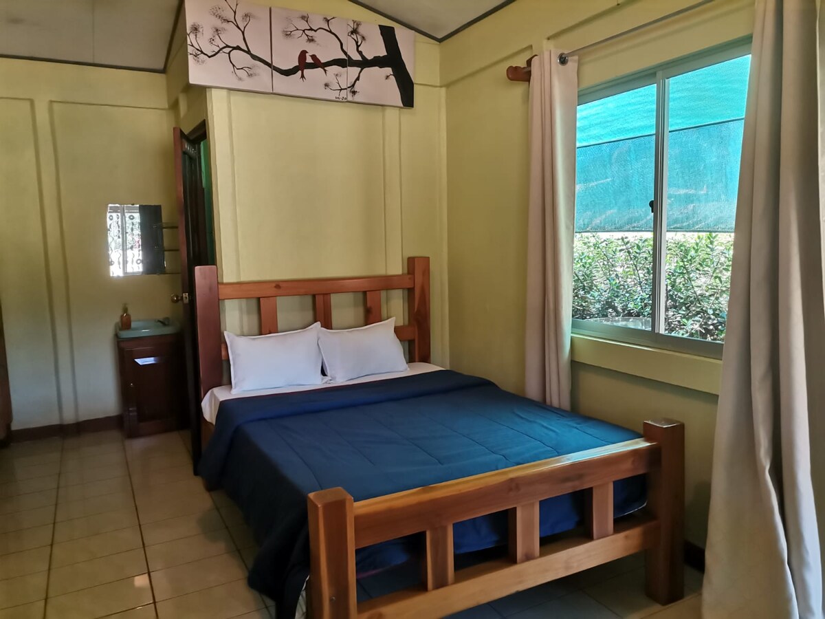 A bright sleeping area features a wooden bed with a blue coverlet and white pillows. Natural light enters through a window dressed with pale curtains, illuminating the room's soft green walls and a small decorative piece above the bed.