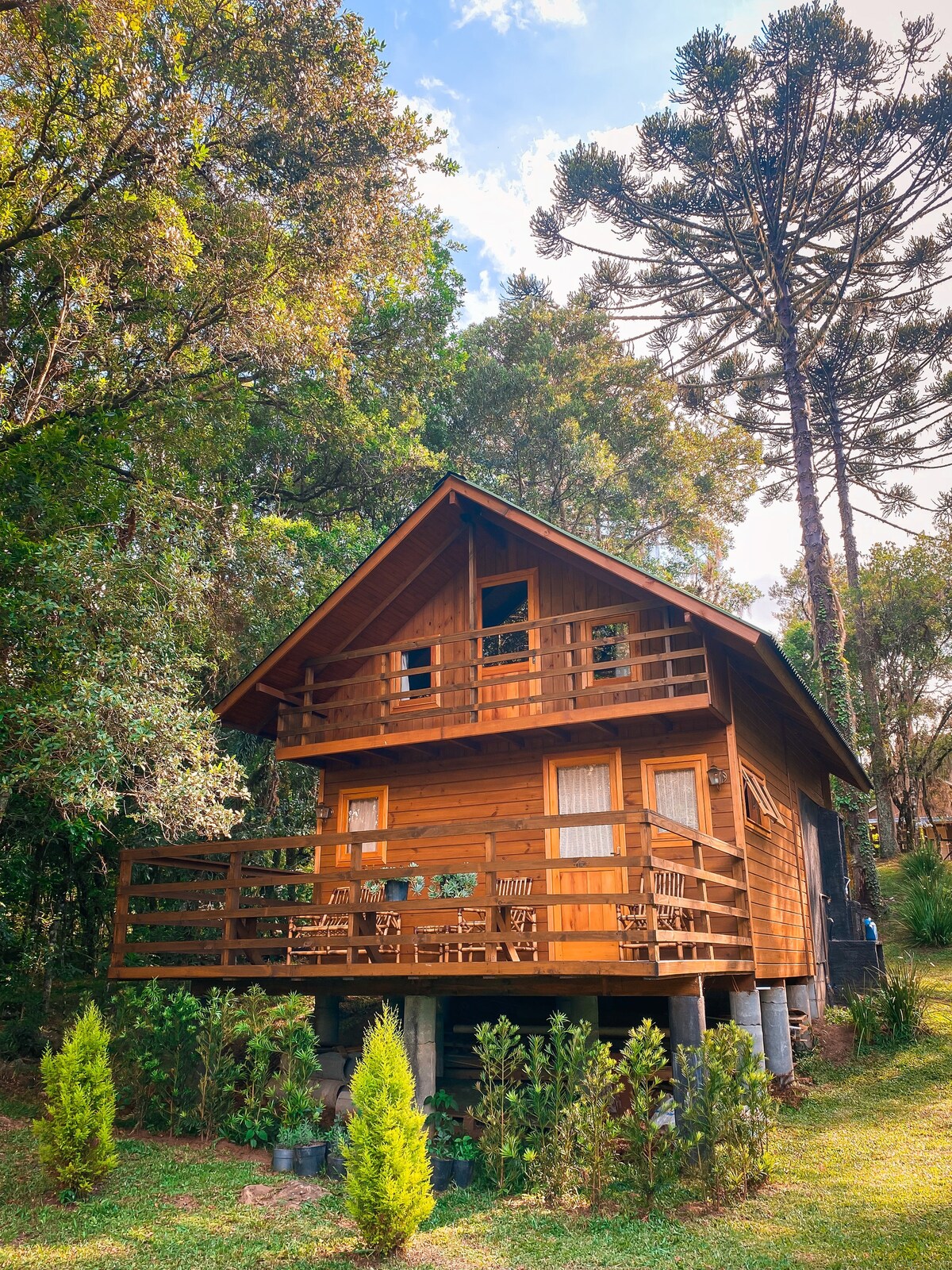 A wooden chalet is nestled among lush greenery, featuring a spacious porch with several chairs. Tall trees surround the structure, and a bright sky complements the rustic architecture, emphasizing the tranquil setting. The building is elevated on posts, blending harmoniously with the natural landscape.