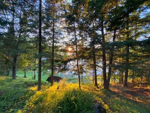 Large Lakeside Retreat - Snowmobilers' Haven!