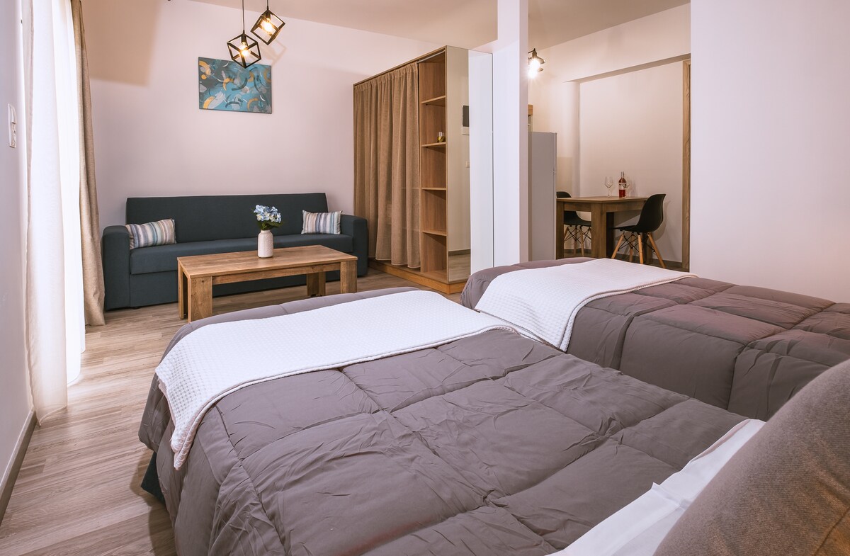 The room features two spacious beds with dark bedding, positioned across from a cozy seating area with a blue sofa and a wooden coffee table. A lush plant in a vase sits atop the table, and curtains provide a warm separation to the adjacent space.
