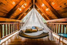 Tranquil Treetop
