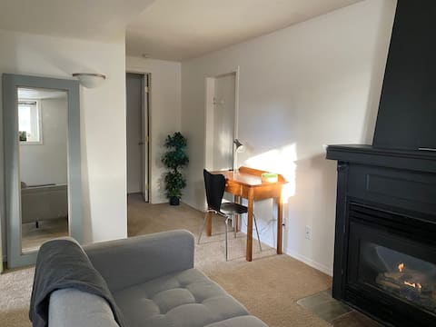Sunny Basement Suite