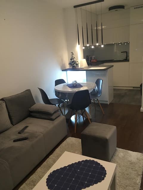 Top performing Airbnb: Ambient 4, Garage, Fast WiFi in Trešnjevka Jug