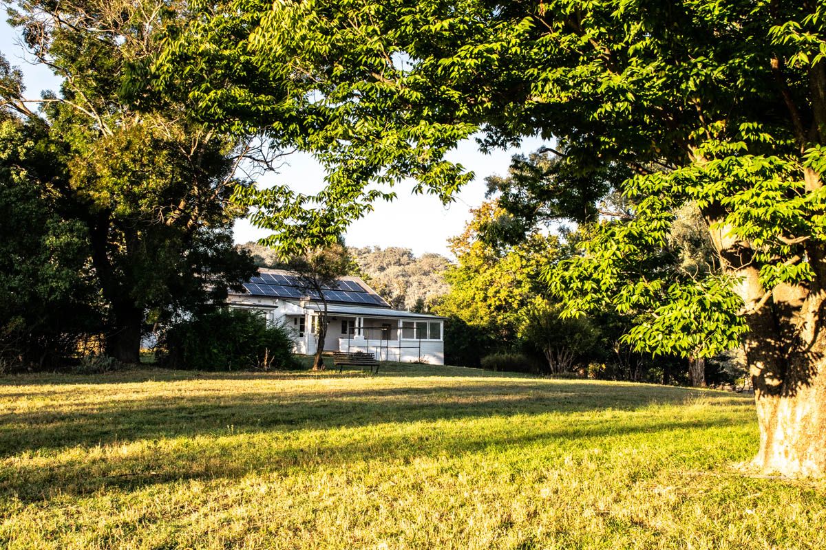The image depicts a charming white house partially obscured by lush greenery, featuring a solar panel roof. The house is situated in an expansive grassy area, surrounded by trees that provide a natural frame, enhancing the rural setting.