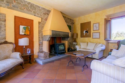 Airbnb con migliori performance: Villa in Tuscany - infinity pool - 8 bdrm - 7 bth a Arezzo