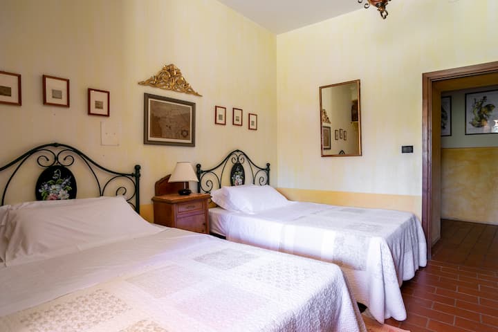 חדר השינה התאום של הנוסע הדמיוני