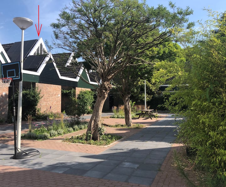 A stylish and comfortable family home with garden Houses for Rent in