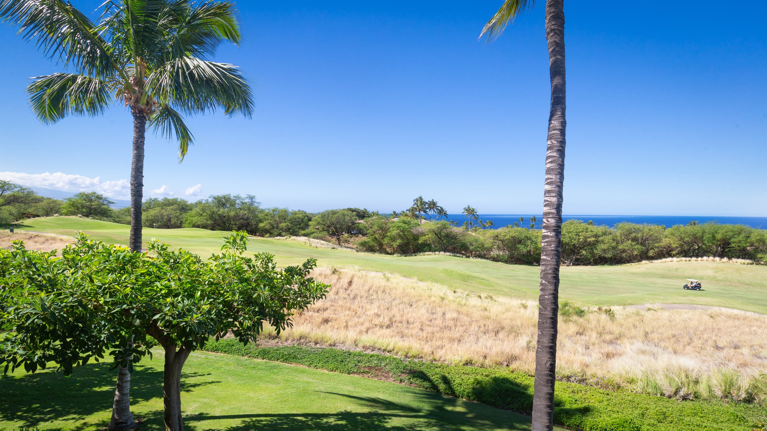 Home in Waimea · ★4.95 · 2 bedrooms · 4 beds · 2 baths - Photo 49