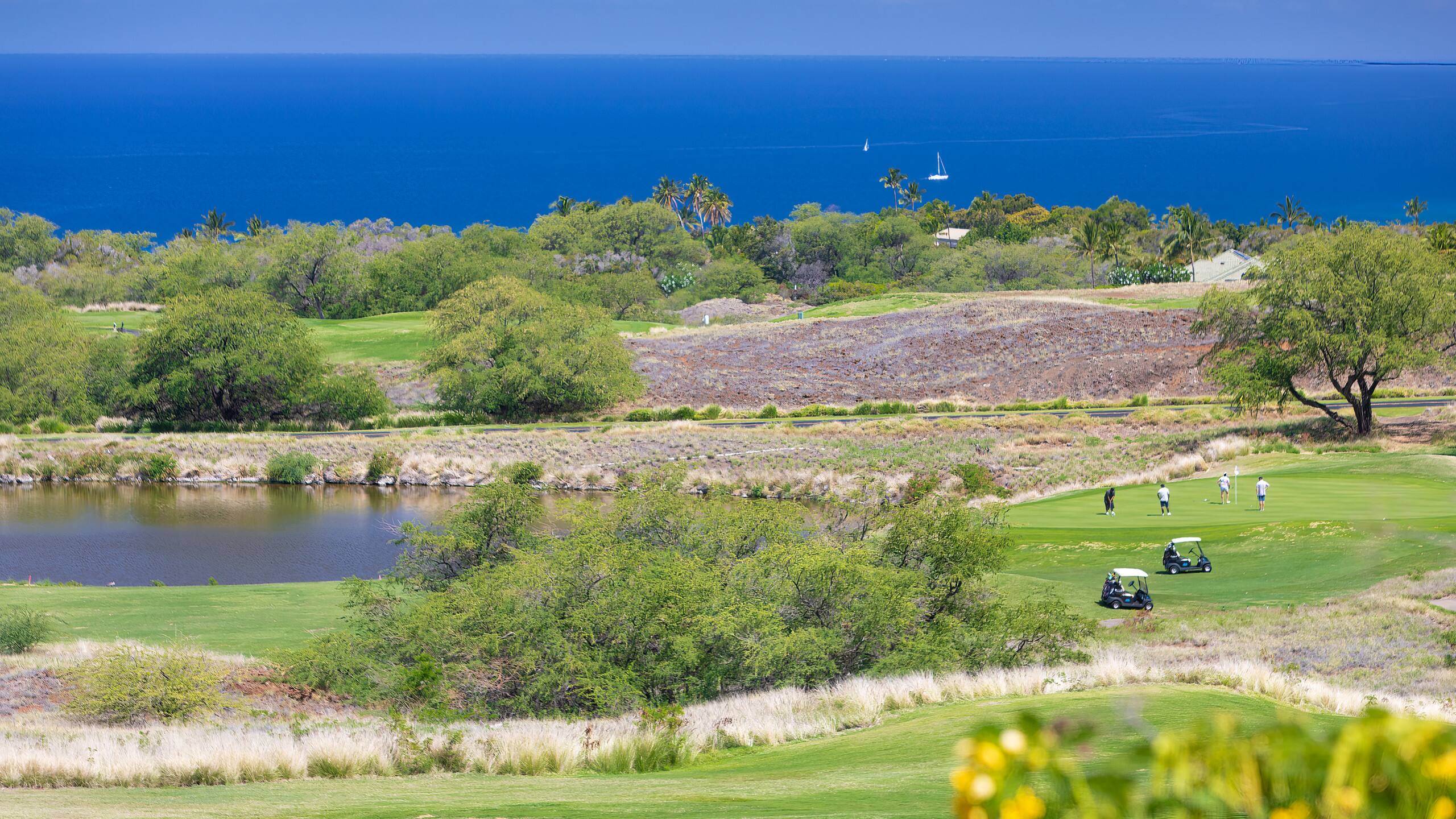 Home in Waimea · ★4.95 · 2 bedrooms · 4 beds · 2 baths - Photo 47