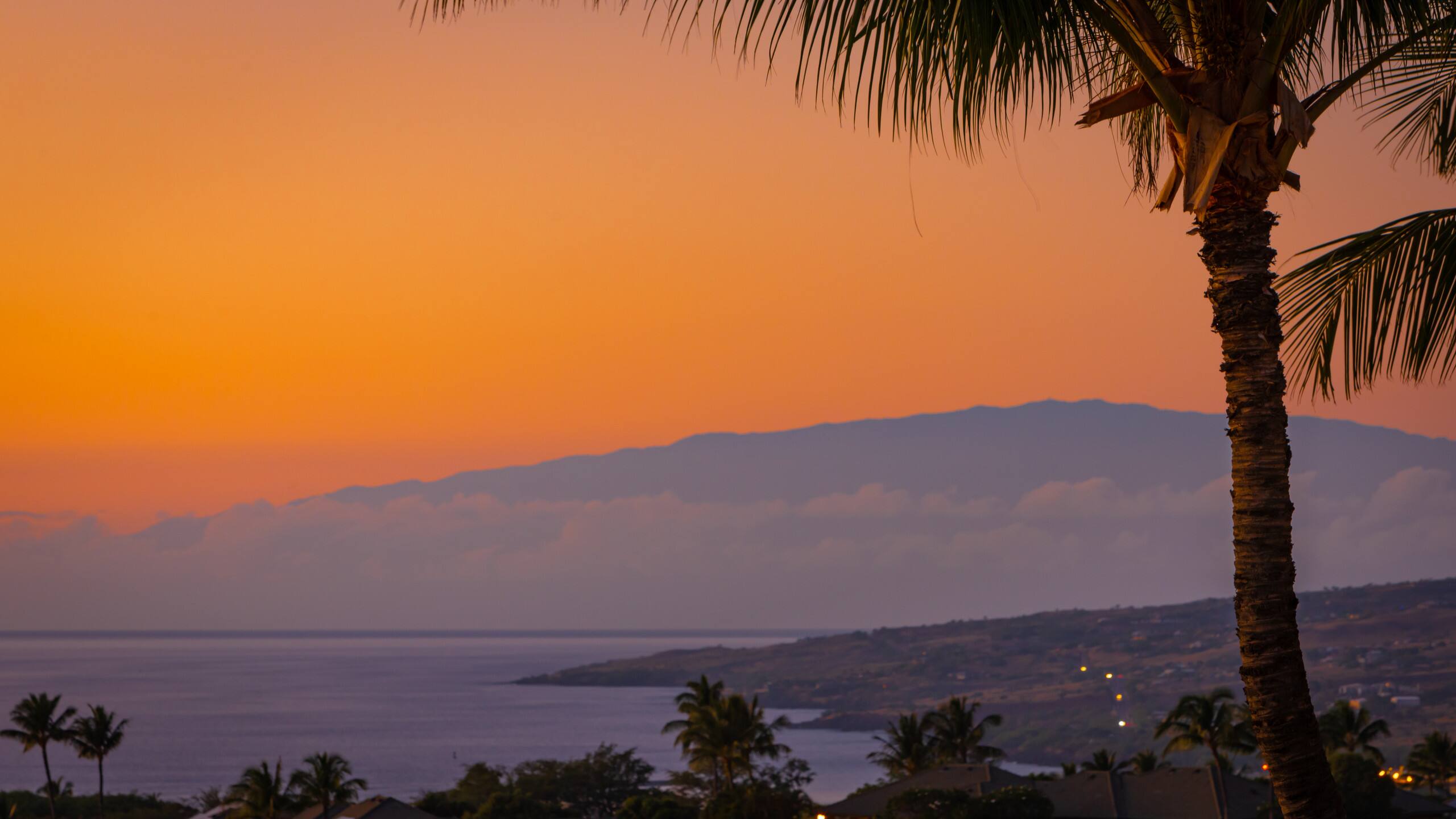 Home in Waimea · ★4.95 · 2 bedrooms · 4 beds · 2 baths - Photo 50
