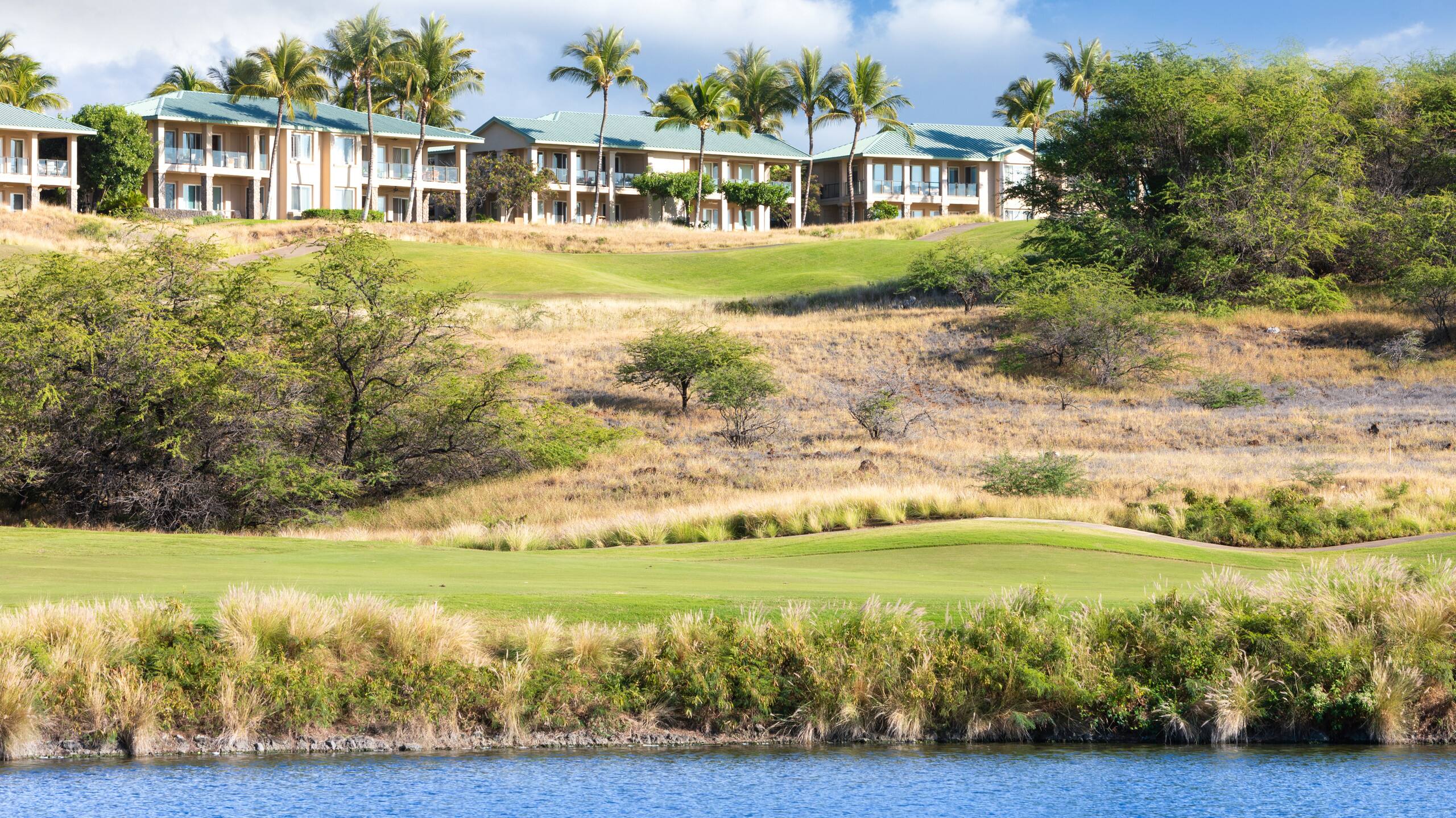 Home in Waimea · ★4.95 · 2 bedrooms · 4 beds · 2 baths - Photo 46
