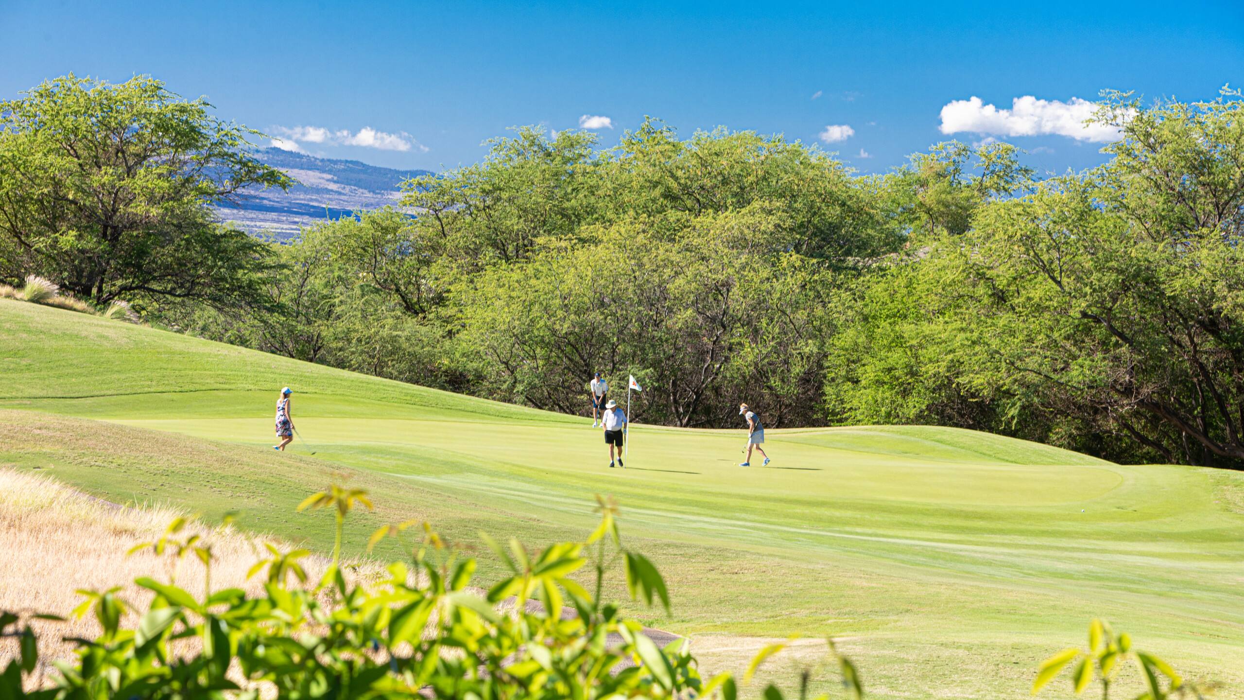 Home in Waimea · ★4.95 · 2 bedrooms · 4 beds · 2 baths - Photo 42