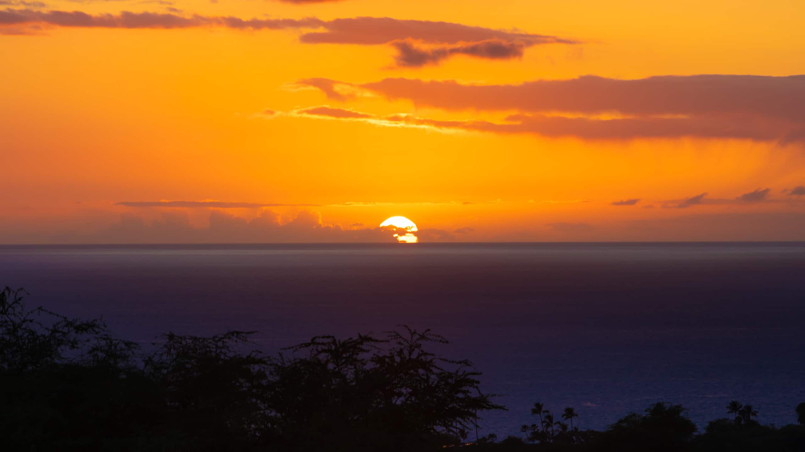 Home in Waimea · ★4.95 · 2 bedrooms · 4 beds · 2 baths - Photo 53